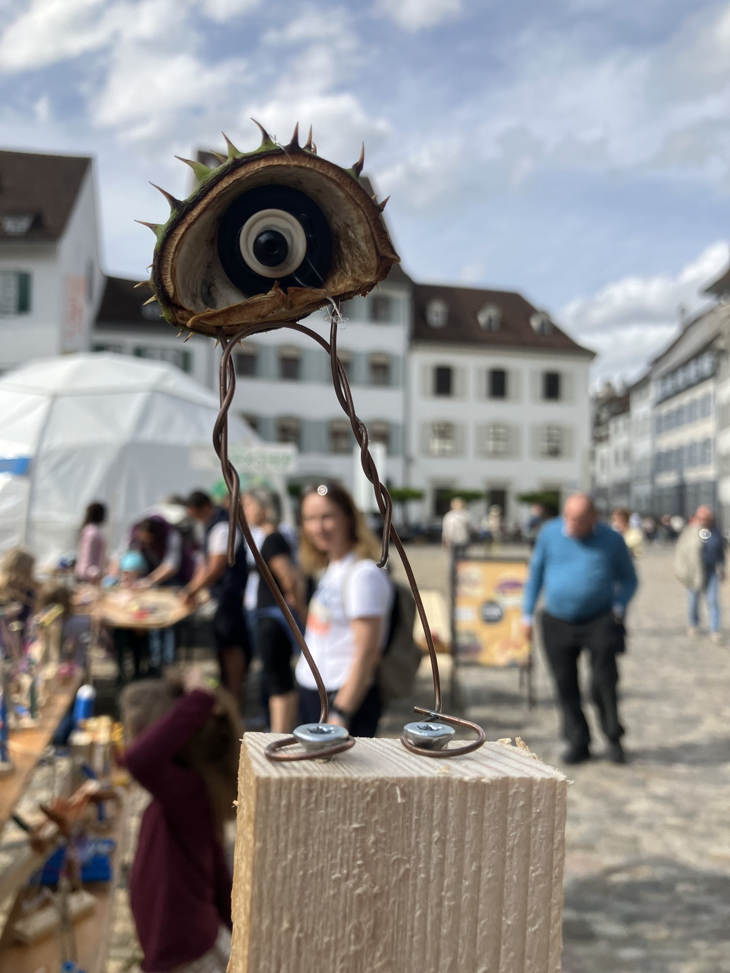 Aeuglinge_29